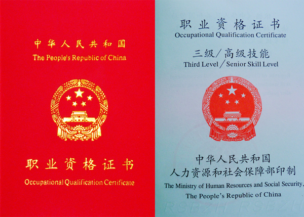 安全评估师(图1)
